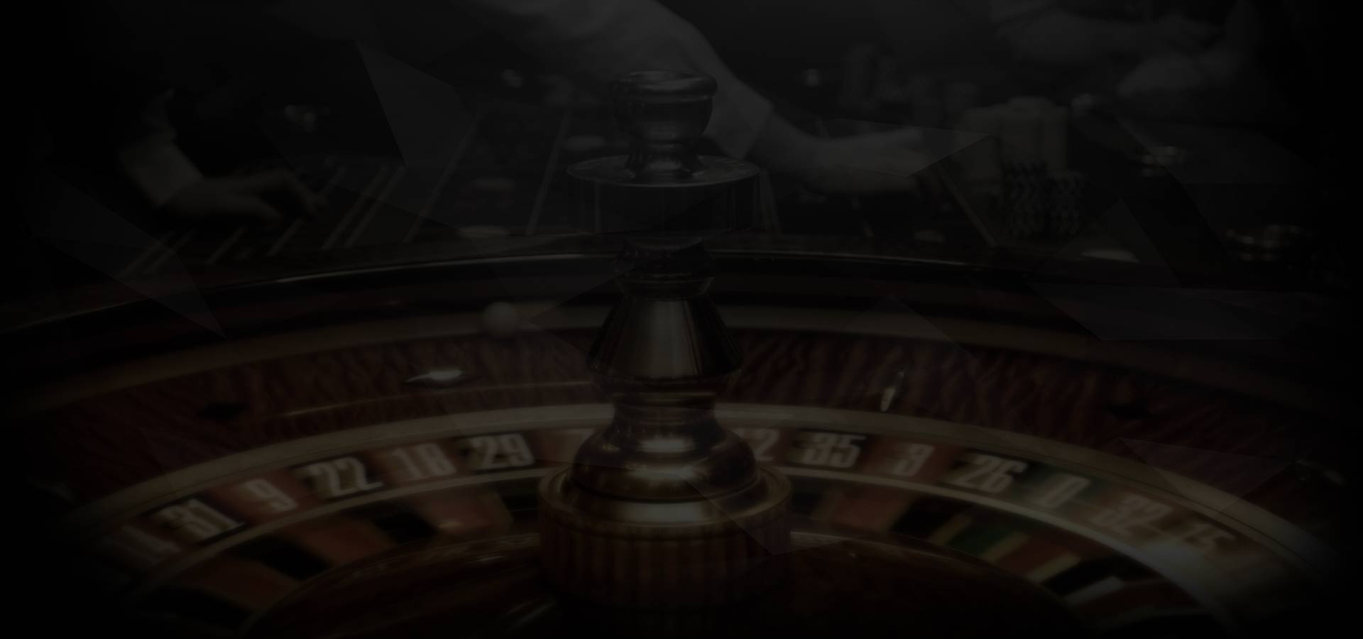 bg-website